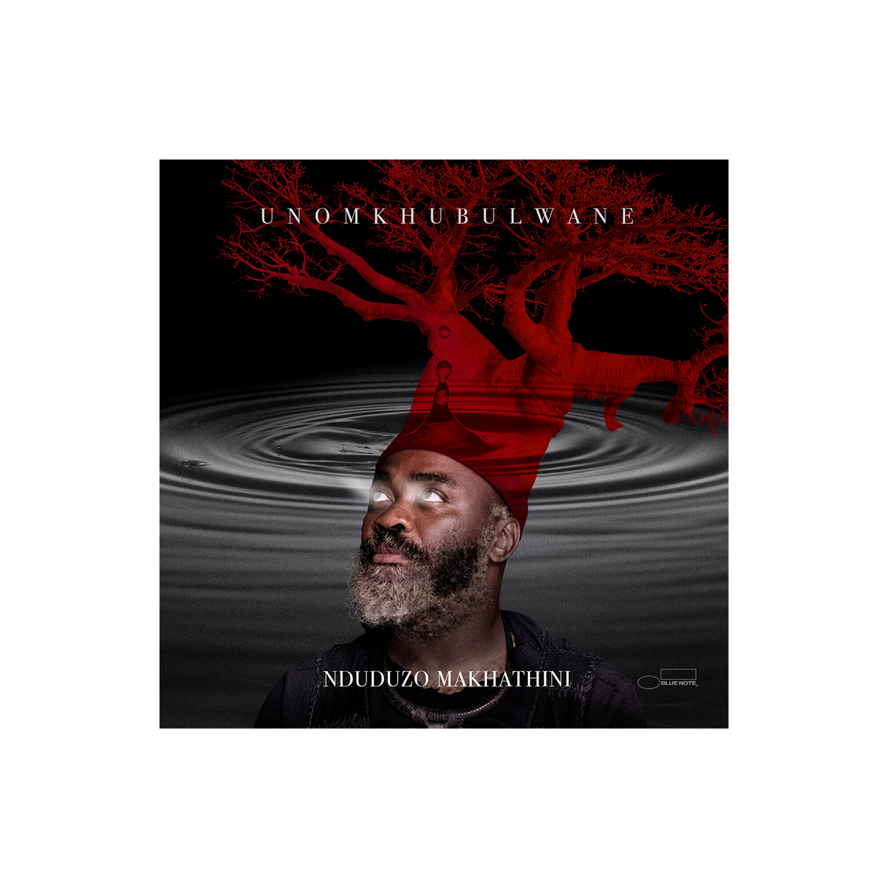 Nduduzo Makhathini - uNomkhubulwane: CD - Blue Note Records