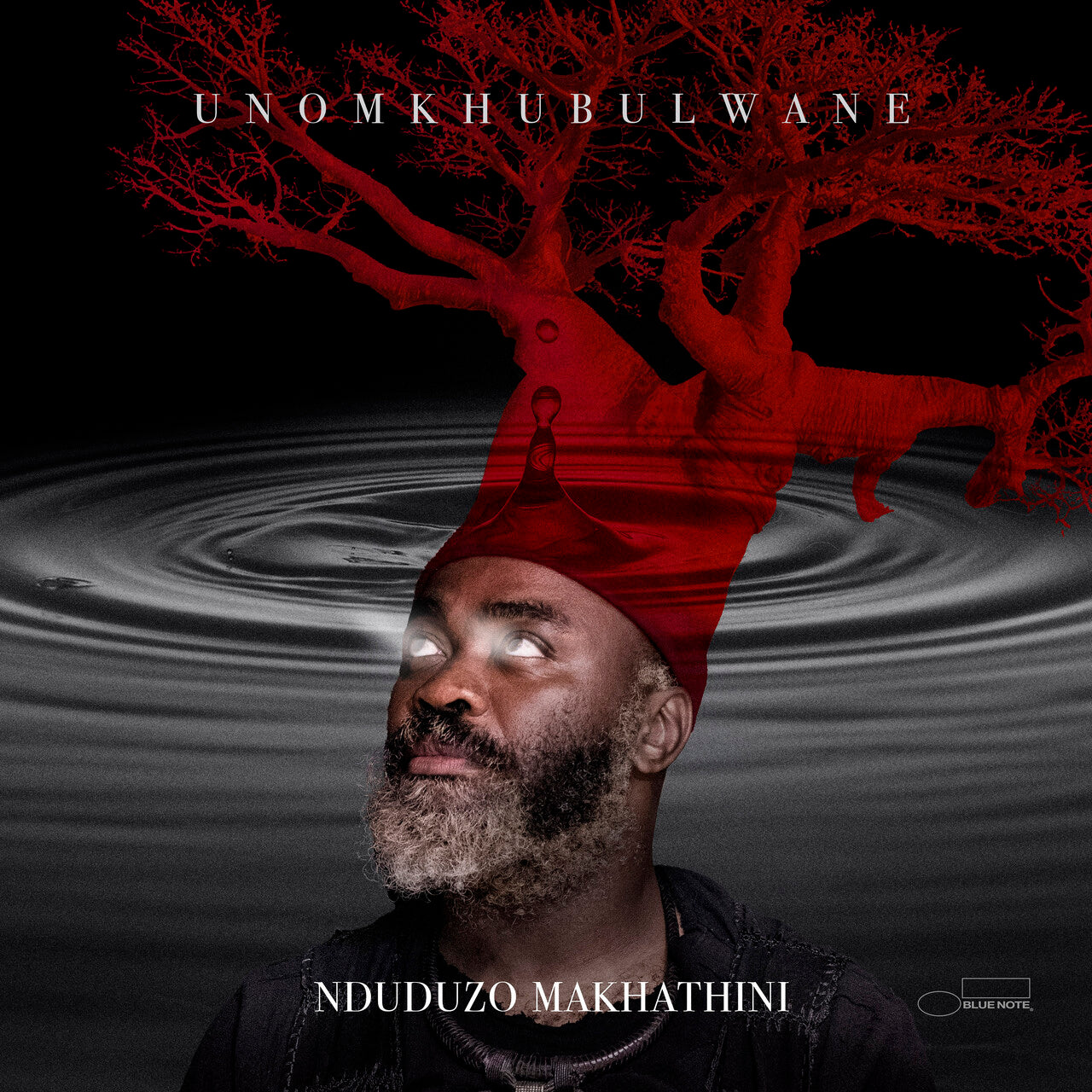 その他 2LP Nduduzo Makhathini Unomkhubulwane ST85232 Blue Note /00520 Nduduzo Makhathini - uNomkhubulwane: Vinyl LP - Blue Note Records
