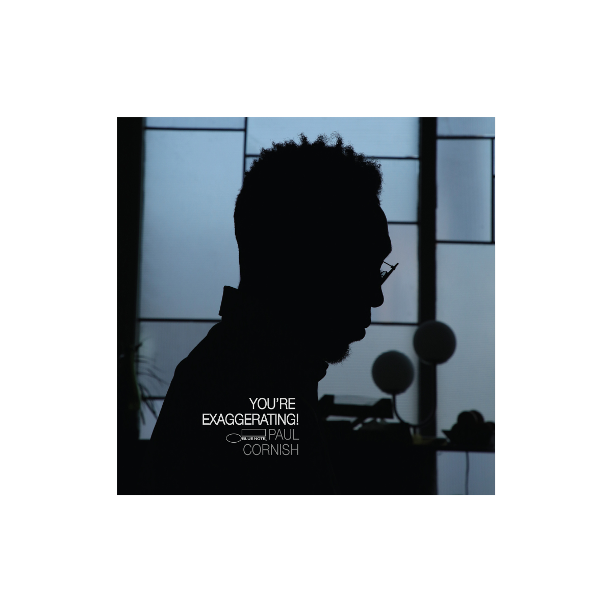 Paul Cornish - You’re Exaggerating! - Vinyl